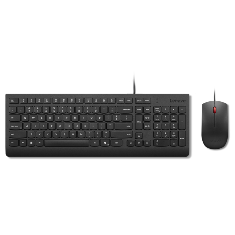 Lenovo Essential Wired Combo (ES 172) teclado Ratón incluido Universal USB Español Negro