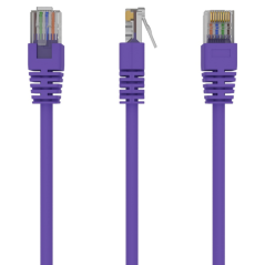 Gembird RJ45/RJ45 Cat5e 1m cable de red Púrpura U/UTP (UTP)