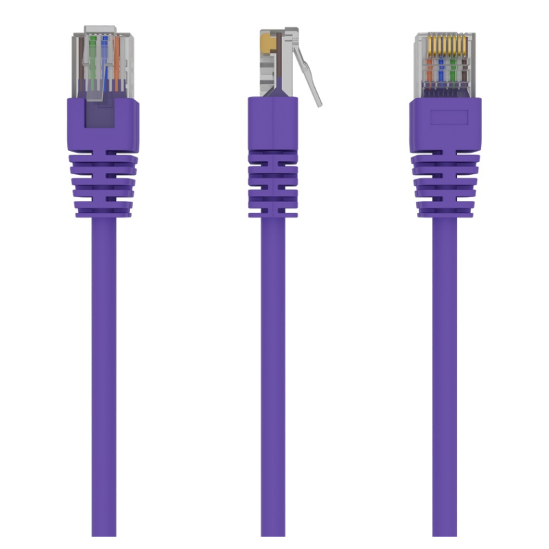 Gembird RJ45/RJ45 Cat5e 1m cable de red Púrpura U/UTP (UTP)