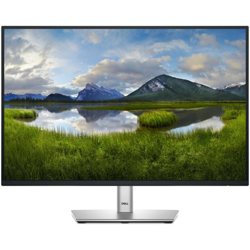 DELL Pro Plus P2425 pantalla para PC 61,1 cm (24.1) 1920 x 1200 Pixeles WUXGA LCD Negro