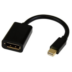 Adaptador mini displayport a displayport startech.com 0.15m - macho - 