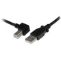 Cable usb tipo a a usb tipo b startech 2m - macho - macho - negro