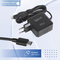 iggual Cargador portátil y móvil tipo C PD 65W
