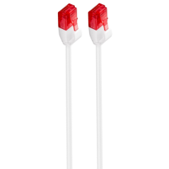 Ewent IM1037 cable de red Blanco 1 m Cat6 U/UTP (UTP)
