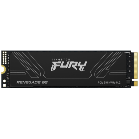 Kingston Technology 1T FURY RENEGADE G5 M.2 2280 NVMe SSD
