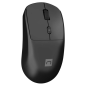 NATEC Hawk 2 Wireless ratón Universal mano derecha RF inalámbrico Laser 3200 DPI