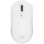 GENESIS NMG-2194 ratón Juego Ambidextro Bluetooth + USB Type-C Óptico 26000 DPI