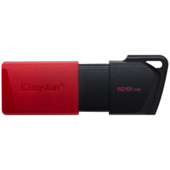 Kingston Technology DataTraveler 128GB USB3.2 Gen1 Exodia M (Negro + R