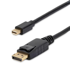 Cable mini dp a displayport startech 2m - macho - macho - negro