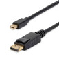 Cable mini dp a displayport startech 2m - macho - macho - negro