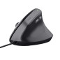 Raton trust bayo ii negro