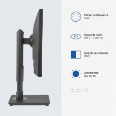 iggual Monitor 24 VGA HDMI 120Hz pivotante AA MM