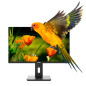 Monitor led 24 pulgadas nilox nxm24reg02 va - hdmi - dp - vga - 75hz - 4ms - vesa 100 x 100 - regulable