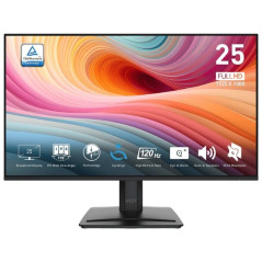 MSI MP251 E2 Monitor 24.5 IPS 120h VGA HDMI DP