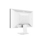TCL 25G54 Monitor 25 MiniLed FHD 144Hz