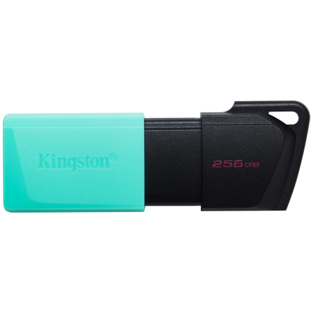 Kingston Technology DataTraveler 256GB USB3.2 Gen1 Exodia M (Negro + T