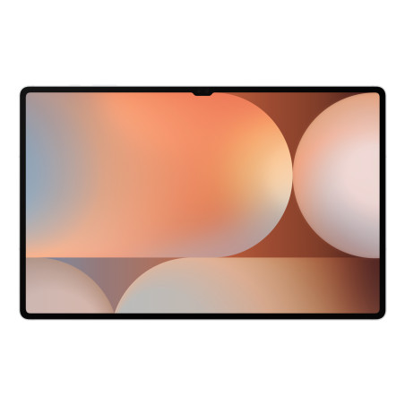 SAMSUNG TAB S10 ULTRA SM-X926 12+256GB 14.6 CELLULAR 5G+ WIFI PLATINUM SILVER